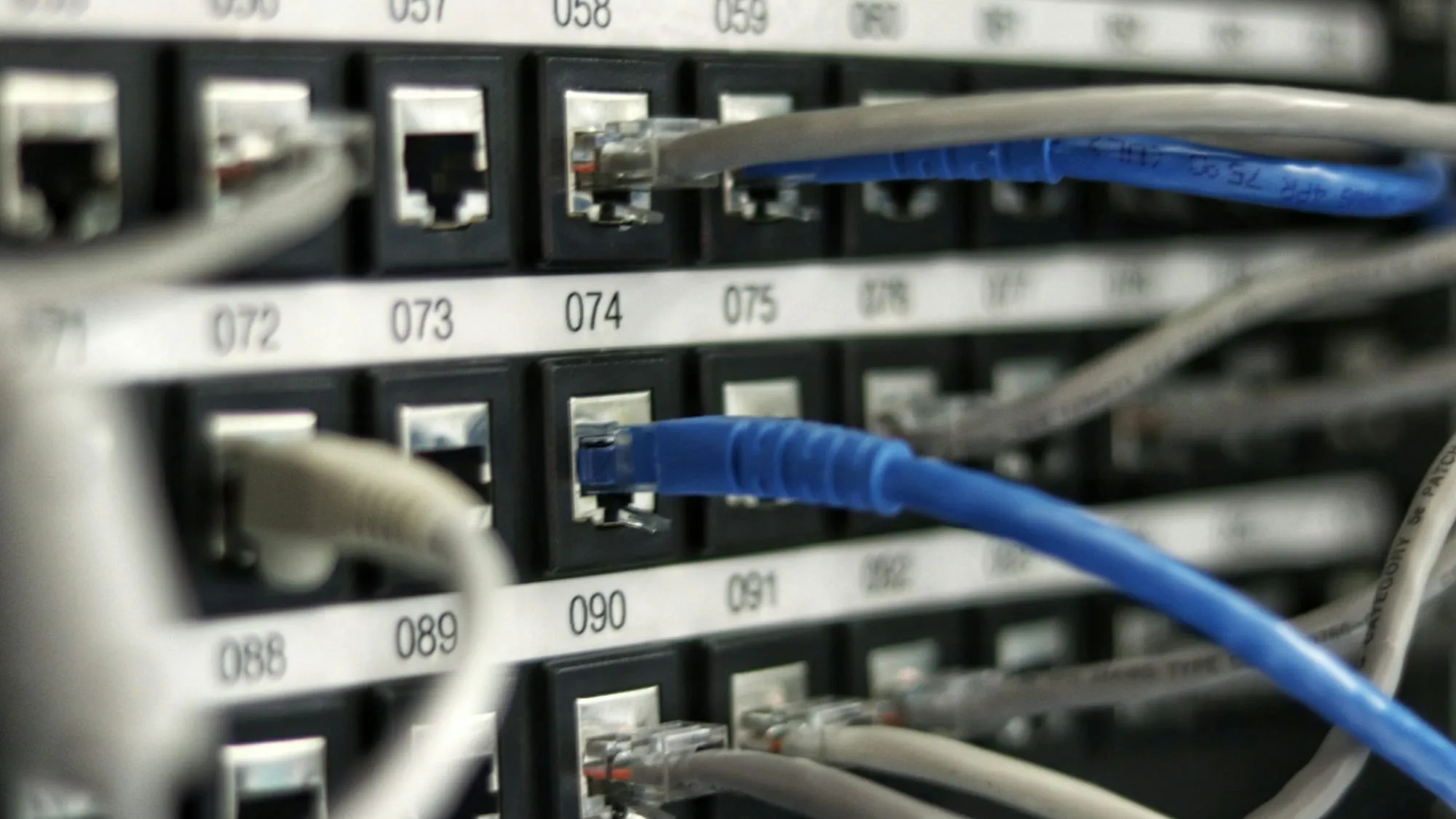 Blue and gray ethernet cables plugged into a numbered patch panel